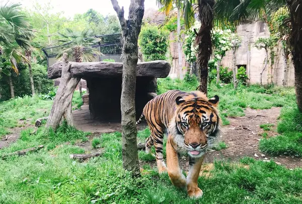 八木山動物公園フジサキの杜の写真・動画_image_319023