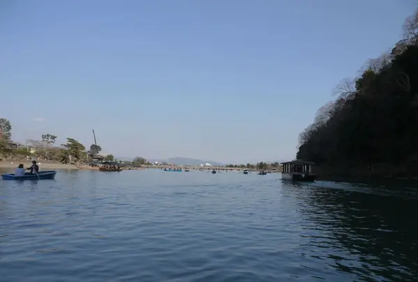 嵐山の写真・動画_image_319056