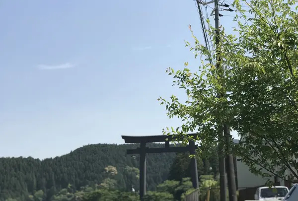 熊野古道大門坂の写真・動画_image_319060