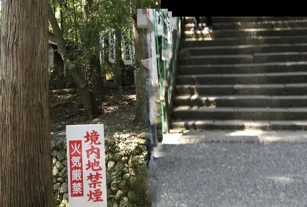 熊野古道大門坂の写真・動画_image_319061