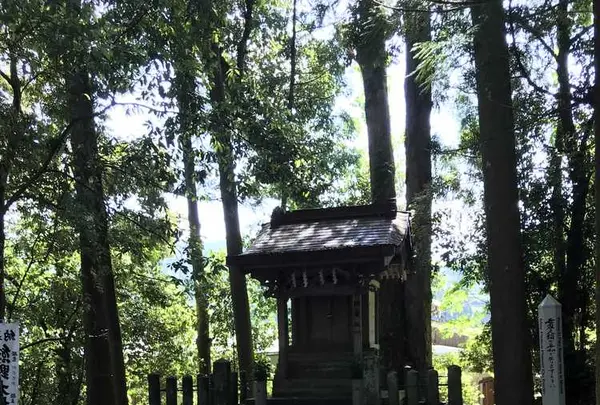 熊野古道大門坂の写真・動画_image_319062