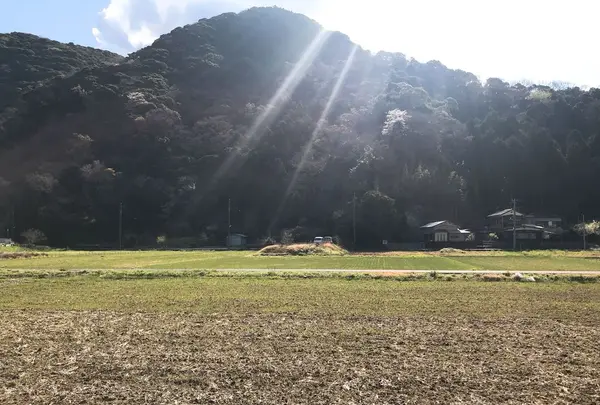 西伊豆町の写真・動画_image_319072