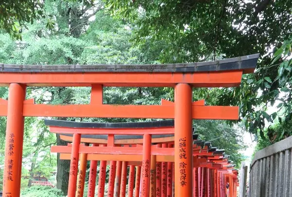 根津神社の写真・動画_image_319085