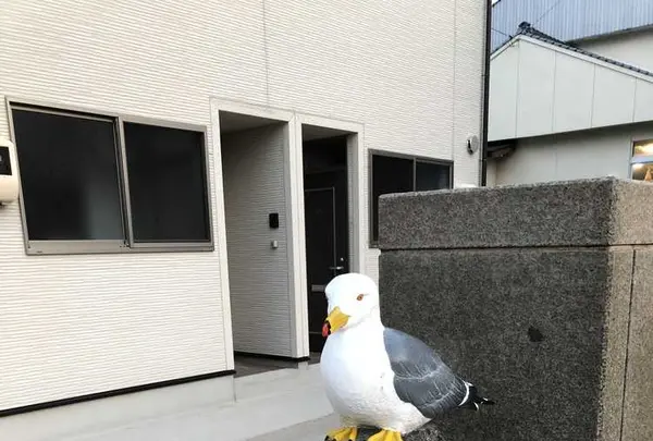 出雲日御碕灯台の写真・動画_image_319096