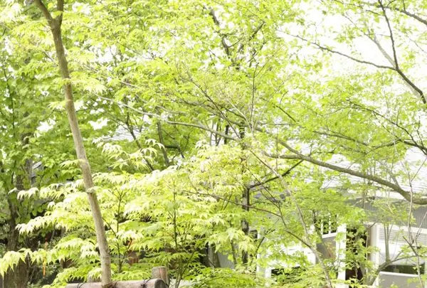 NASU SHOZO CAFEの写真・動画_image_319114