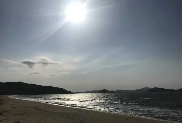 生の松原海岸森林公園の写真・動画_image_319186