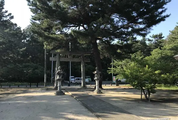 生の松原海岸森林公園の写真・動画_image_319188