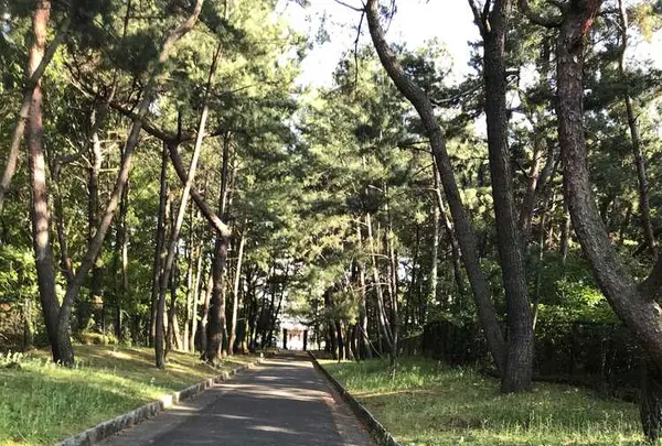 生の松原海岸森林公園の写真・動画_image_319193