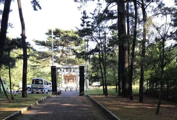 生の松原海岸森林公園の写真・動画_image_319194