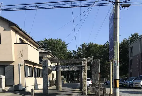 生の松原海岸森林公園の写真・動画_image_319195