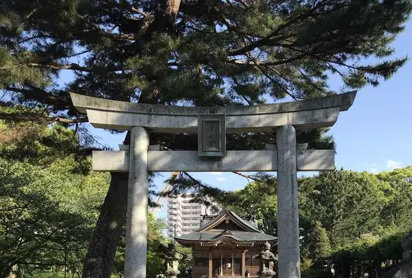 生の松原海岸森林公園の写真・動画_image_319196