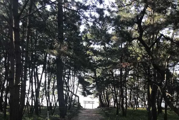 生の松原海岸森林公園の写真・動画_image_319197