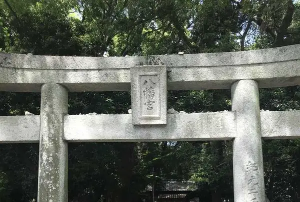 木の葉モール橋本の写真・動画_image_319204