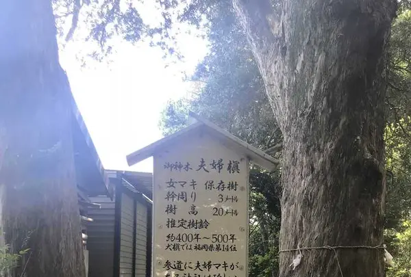 木の葉モール橋本の写真・動画_image_319212