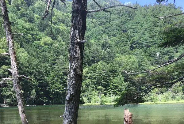 上高地の写真・動画_image_319223