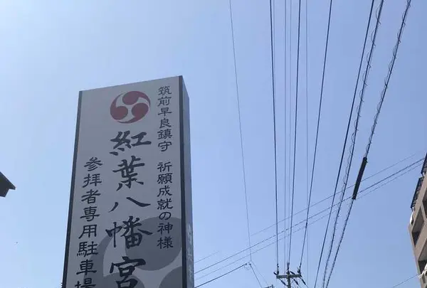 紅葉八幡宮の写真・動画_image_319232