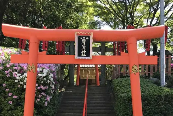 紅葉八幡宮の写真・動画_image_319233