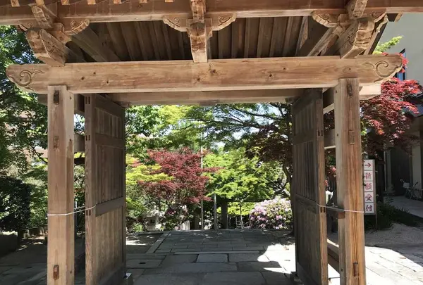 紅葉八幡宮の写真・動画_image_319236