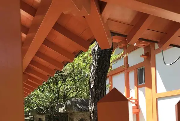 紅葉八幡宮の写真・動画_image_319238
