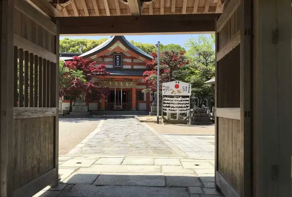 紅葉八幡宮の写真・動画_image_319239