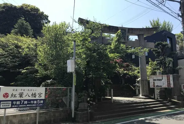 紅葉八幡宮の写真・動画_image_319240