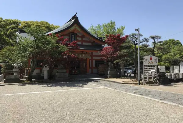 紅葉八幡宮の写真・動画_image_319242