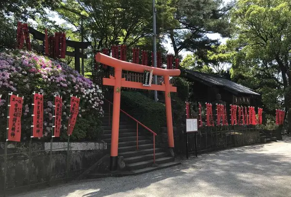 紅葉八幡宮の写真・動画_image_319243