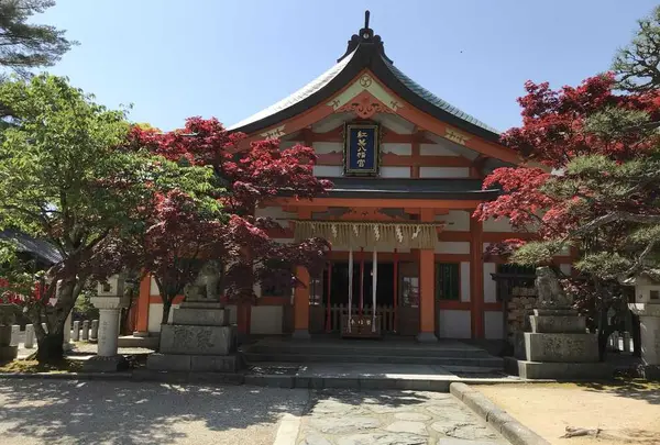 紅葉八幡宮の写真・動画_image_319244