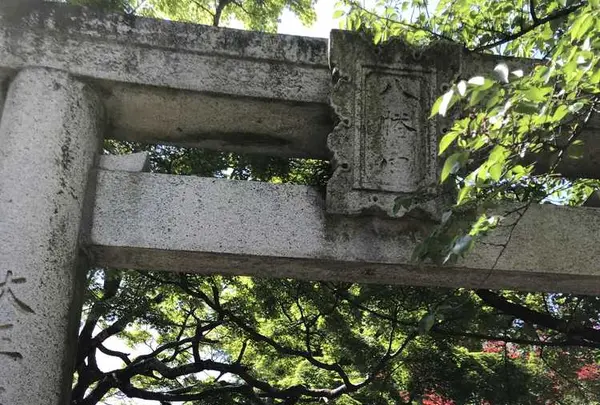 紅葉八幡宮の写真・動画_image_319246