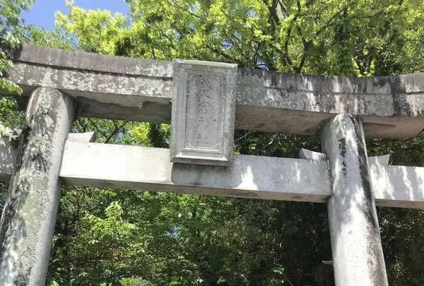 愛宕神社の写真・動画_image_319338