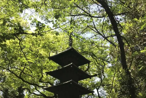 愛宕神社の写真・動画_image_319343