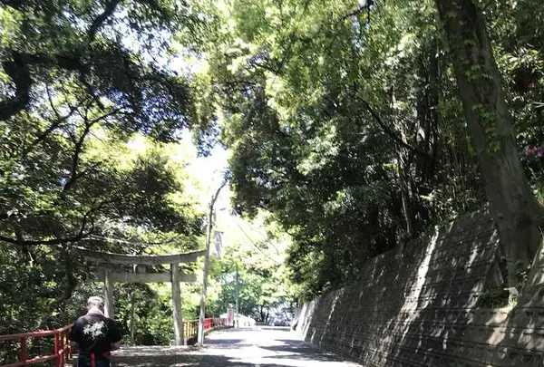 愛宕神社の写真・動画_image_319344