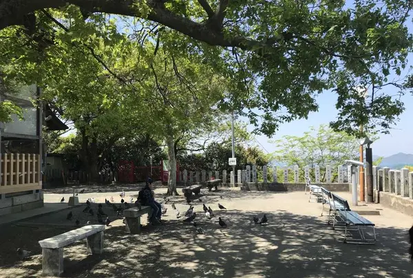 愛宕神社の写真・動画_image_319349