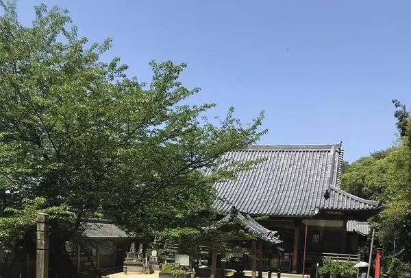 愛宕神社の写真・動画_image_319352