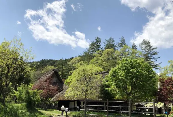 飛騨高山の写真・動画_image_319385