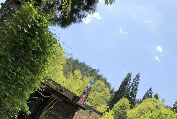 飛騨高山の写真・動画_image_319387
