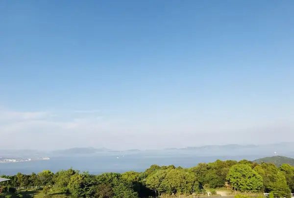 グリーンラインの写真・動画_image_319442