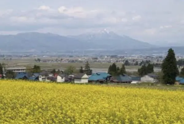 八木沢の写真・動画_image_319449