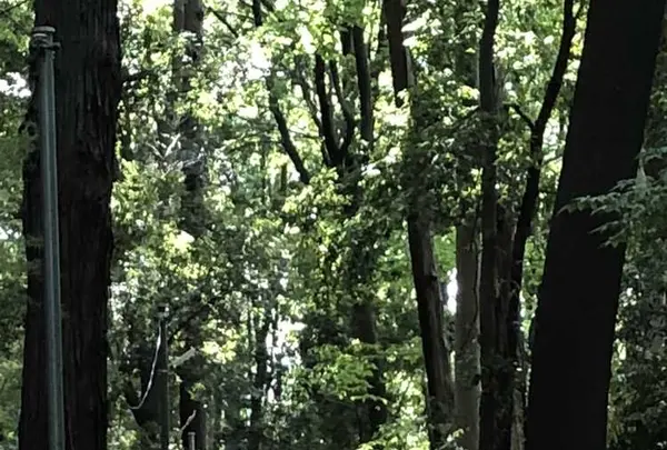 野々下水辺公園の写真・動画_image_319452