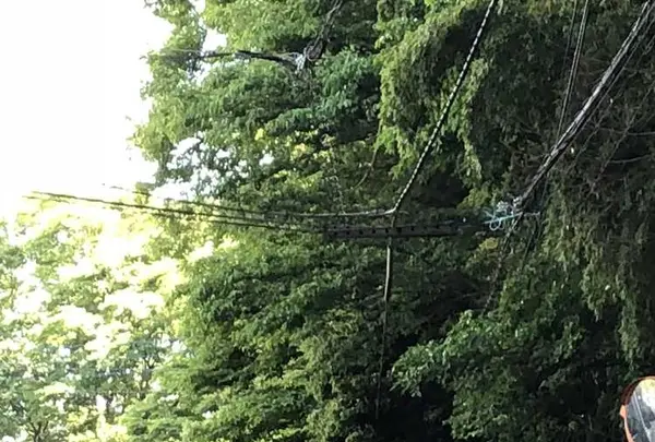 野々下水辺公園の写真・動画_image_319453