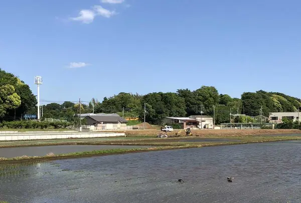 野々下水辺公園の写真・動画_image_319454