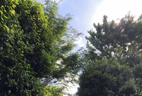 野々下水辺公園の写真・動画_image_319457