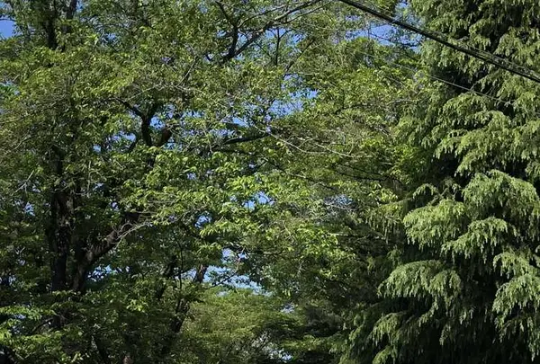 野々下水辺公園の写真・動画_image_319458