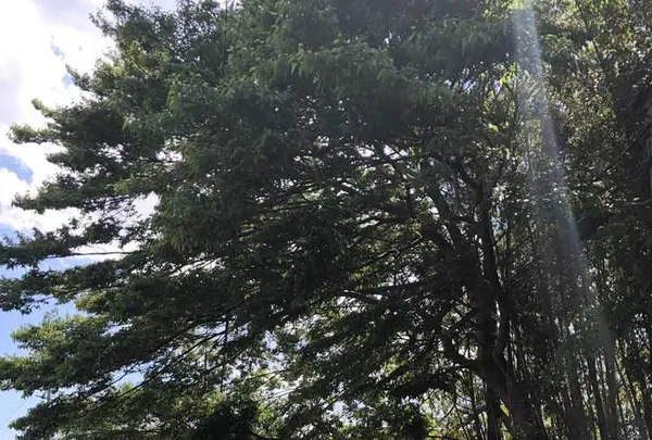 野々下水辺公園の写真・動画_image_319459