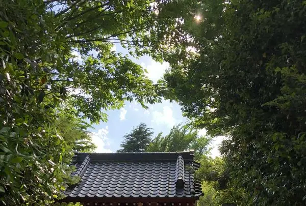 野々下水辺公園の写真・動画_image_319460