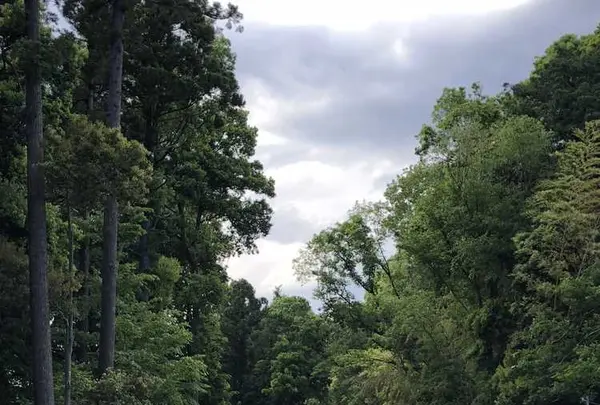 野々下水辺公園の写真・動画_image_319462