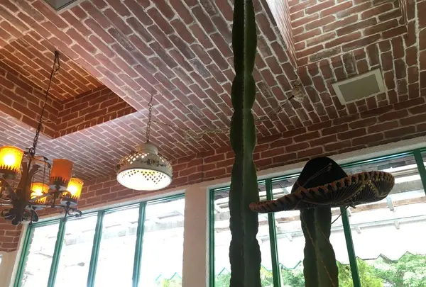 メキシコの写真・動画_image_319509