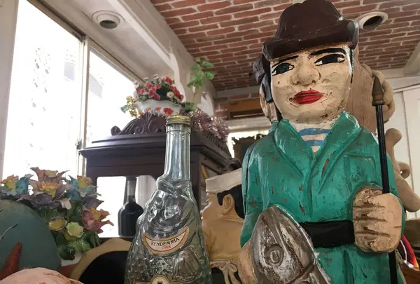 メキシコの写真・動画_image_319510