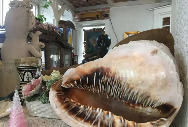 メキシコの写真・動画_image_319511