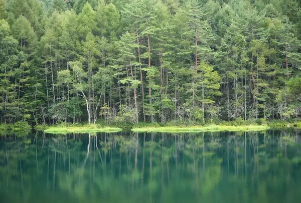 御射鹿池の写真・動画_image_319513